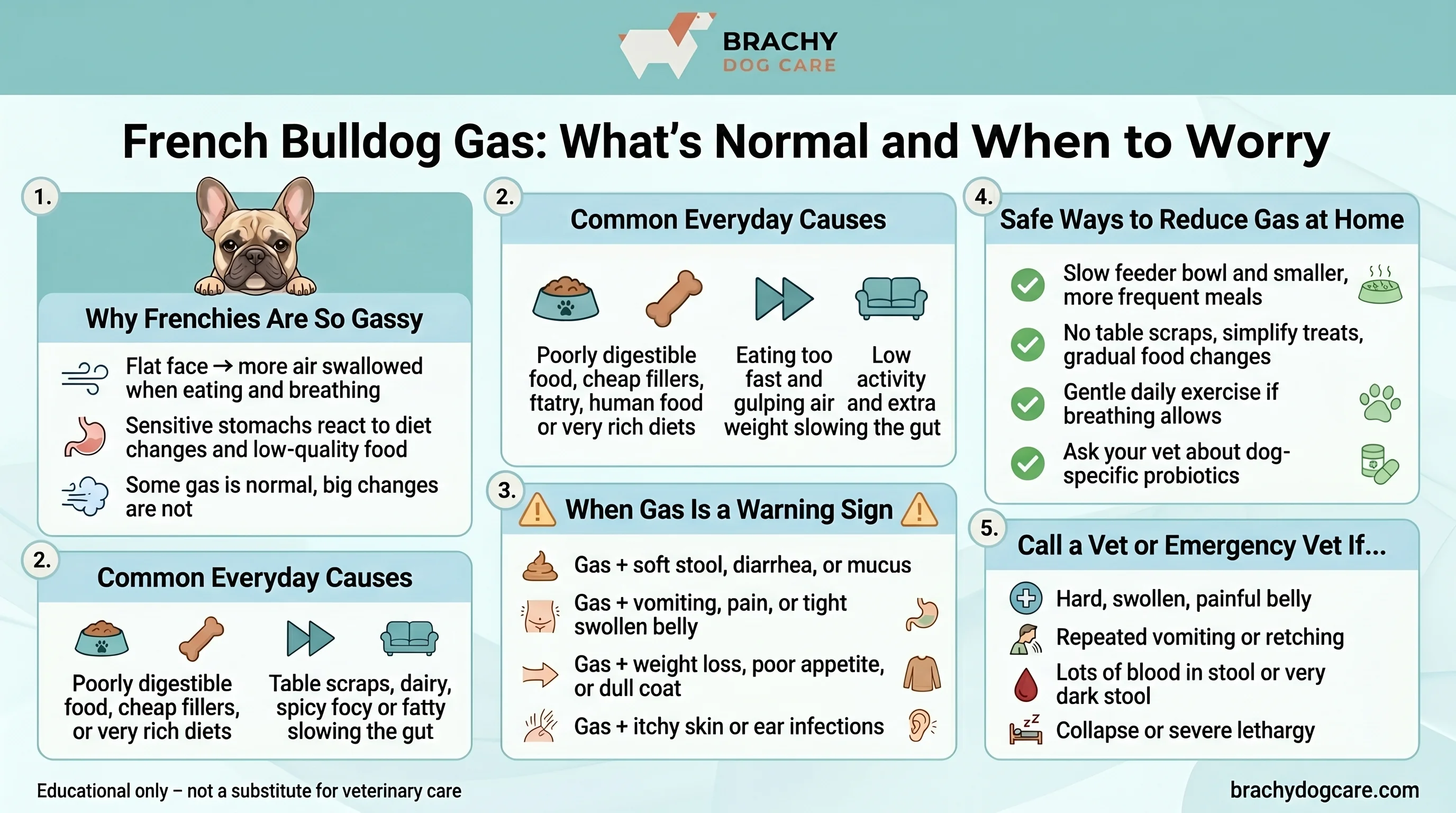 Create_a_vertical,_mobile‑friendly_infographic_202606130948.webp
