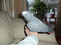 101_0418.webp
