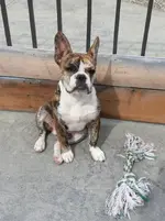 20130516_153630.webp