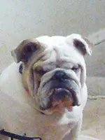 Zam2 02-17-13.webp