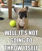 aww.webp