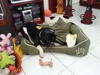 20130602_124555_1.webp