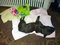 photo-140.webp photo-140.webp