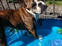 20130705_161706_resized.webp