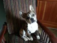 20130423_153552.webp