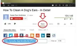 shareyoutube.webp shareyoutube.webp