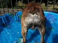 20130716_162353_resized.webp