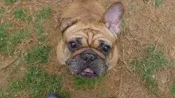 bailey.webp bailey.webp