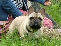 DSCF2053.webp