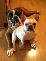 photo (24).webp
