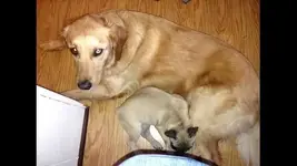ImageUploadedByTapatalk1376014975.201520.webp