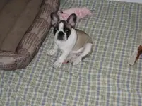 IMG_0912.webp IMG_0912.webp