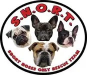 snort.webp snort.webp