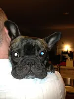 Banks.Cheli around the house 016.webp