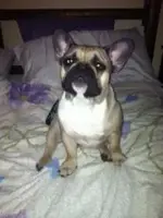 Oliver.webp