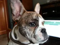 20130415_102449.webp