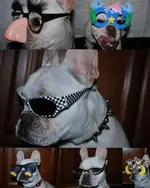 Glasses.webp