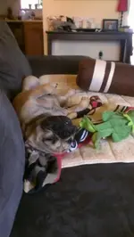 IMAG0234.webp