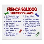 french_bulldog property laws.jpg