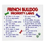 french_bulldog property laws.webp