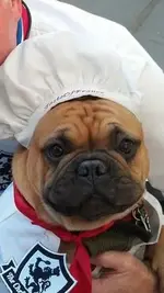 chefcruz.webp