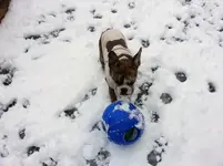 20130415_170725.webp