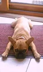 Screenshot_2013-09-21-14-57-35.webp