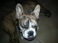 20130504_102159.webp