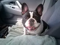 Sergeant10.122013.webp Sergeant10.122013.webp