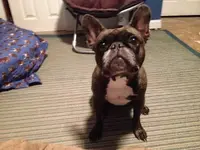 Grayson.webp