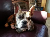 20130506_144701.webp