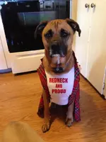 Mac the Redneck.webp