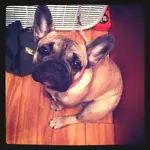 photo2.webp