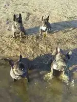 ImageUploadedByTapatalkHD1383513261.411730.webp