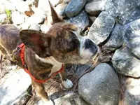 20130509_121801.webp