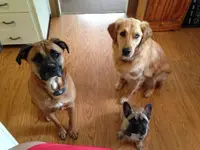 The Kids.webp