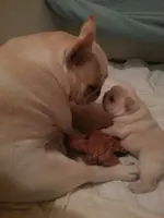 Hazel and baby.webp