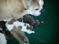 2012122695142729.webp