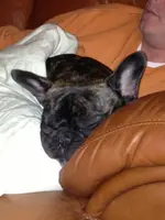 cheli 10.7 001.webp