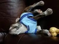 20130220_103057.webp