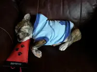 20130306_103447.webp