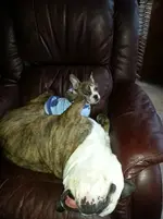 20130306_164052.webp