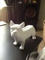 frenchie status 004.webp