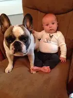 luke.webp
