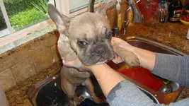 DSC00319.webp