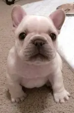 IMAG1692-2.webp