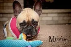 Minnie.webp Minnie.webp