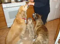 DSC00331.webp