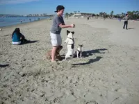 DSC00424.webp