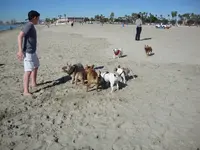 DSC00425.webp